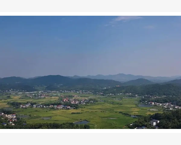 中医传统穴位疗法：调理心脏健康的有效方法