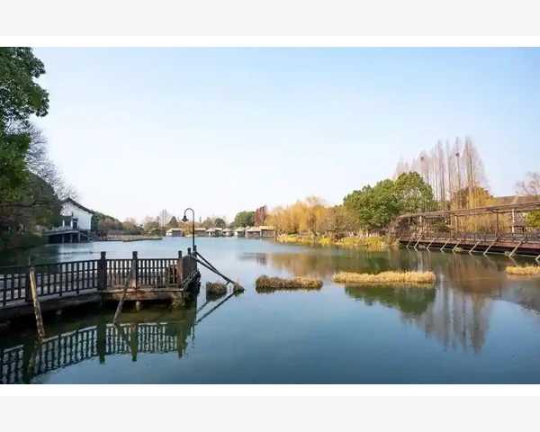 喝枸杞水，助你清肺健康