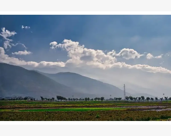 驱寒艾灸还是泡脚，温暖双脚迎寒冬