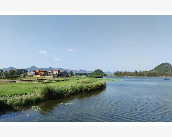 喝枸杞水，改善脾胃虚湿气效果惊人？